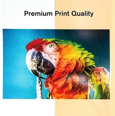 Koala Clear Transparency Film for Laser Overhead Projector Copier 60Sheet 8.5×11