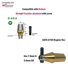 Titanium Straight Cemented Abutment D4.5/5.0/6.0 For Osstem Hiossen TS Regular