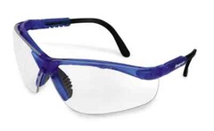 Safety Glasses (Blue Frame/Clear Lenses) Anti-Fog GLASS20BLA