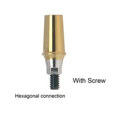 Dental Titanium Cemented Straight Transfer Abutment Regular Hex Fit Hiossen ET