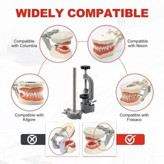 Dental Typodont Mounting Pole Teeth Model 360° Rotating not Teeth Model New