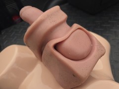Pro Delphus Surgical Simulator For Urologic Procedures For Male & Female Anatomy