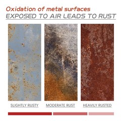 Rust Conversion Agent 300g, Multi-Functional Anti-Rust Paint, Water-Based Met…