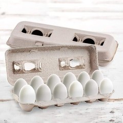 MT Products 12 Compartment Blank Natural Pulp Egg Cartons – Pack of 25