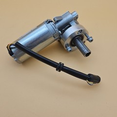 Blu Motor 48V DC 130.007.019 0.16 Nm IP40 D.42 21-119375-01 Made In Italy