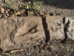 Shadow Ridge concrete stamps- realistic stone texture for curbing & vertical