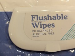 Because Flushable Wipes Alcohol Free 48 Wipes