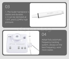LED Dental Ultrasonic Piezo Scaler Handpiece Bottles Fit EMS Cavitron Woodpecker