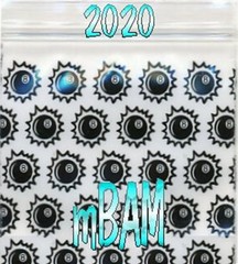 500 LOT APPLE MINI ZIP BAGGIES 2.5 & 3.0mil 2020 1515 125125 YOUR CHOICE