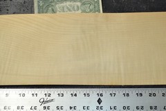 Maple Raw Wood Veneer Sheet 6.5 x 24 inches 6772-42