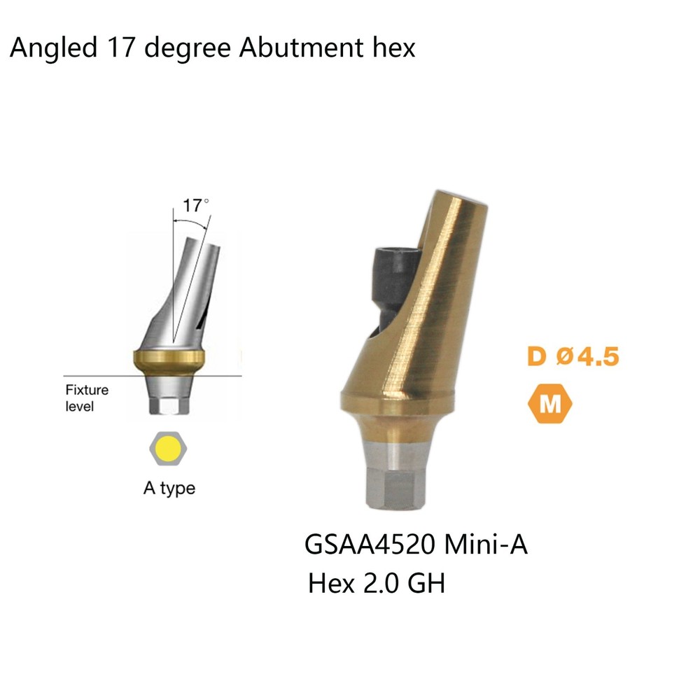 Hiossen ET 17° degree implant Angulated Ti Anatomic Abutment Dental Mini/Regular