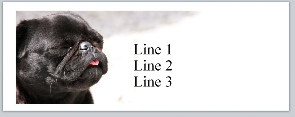 Personalized Address labels Black Pug Dog (P 825)