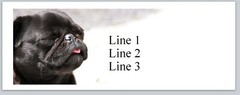 Personalized Address labels Black Pug Dog (P 825)