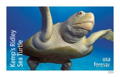 United States Postal Service Protect Sea Turtles 2024 2 Sheets Of 18