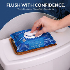 Member’s Mark Flushable Wipes, Scented, 540 Count – Hypoallergenic Fresh Scent