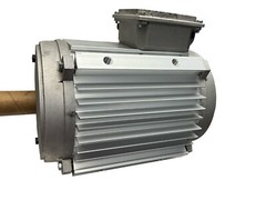 York 024-36874-003 3Hp Fan Motor 460V 3Ph 1140Rpm
