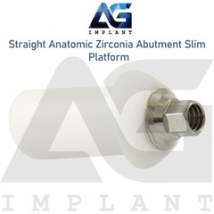 Zirconia Straight Anatomic Prosthetic Slim Titanium Base Hexagon 2.0mm