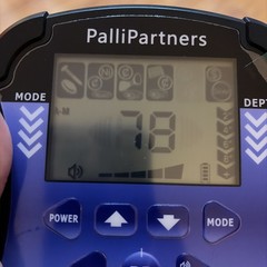 PalliPartners Metal Detector for Adults Waterproof-Professional Higher