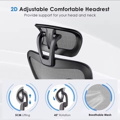 Ergonomic Mesh Office/Desk Chair w/ Adjustable Headrest & Lumbar, Gray/Black