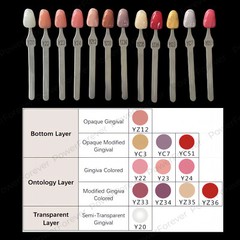 Dental 3D Gum A-D Shade Guide Pink Gingiva Aesthetic Composite Resin Restoration