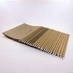 25 Hanging File Folders with 25 Tabs, Letter Size, Beige, Assorted