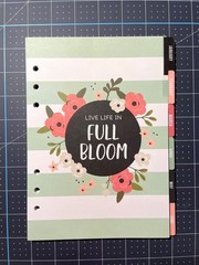 Carpe Diem Undated A5 Monthly Planner Inserts – Bloom