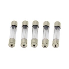 [10x] 10A 250V Fast Blow Fuse Glass Tube Fuse 10 Amp Fuse 6X30mm