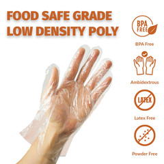 500 BPA Free Premium Disposable Gloves Poly PE LDPE Plastic for Kitchen Food Han