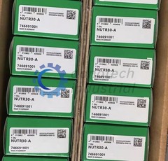 1PC NEW INA NUTR30-A Needle Roller Bearings #DT