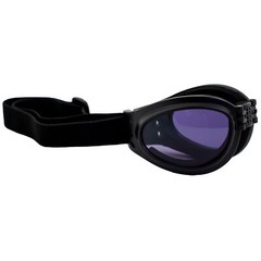 Birdz Eyewear Parrot Padded Motorcycle Goggles Black Frame + Purple Lens