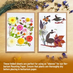 Lineco Acid-Free 25 Pack 11.5×16.5 Bookbinding Book Repair Paper Art Supply