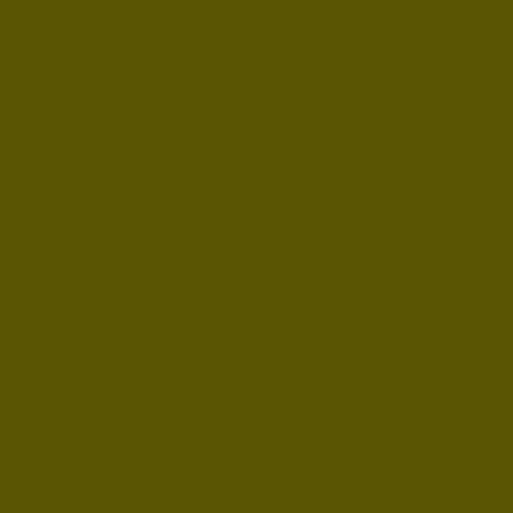 Laticrete Latasil Silicone Sealant and Caulk – Autumn Green – # 6267-0120-2