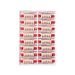 Dental False Teeth At Home Tooth Replacement Acrylic Resin Teeth Shade A1/A2/A3