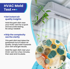 Mold Test Kit for Home Air: DIY Mold Detector with 5 Simple Detection Tests, USA