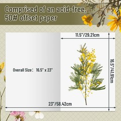 Lineco Acid-Free 25 Pack 11.5×16.5 Bookbinding Book Repair Paper Art Supply
