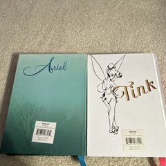 Disney Ariel & Tinker Bell Illustrated Blank Journals Cardboard Cover