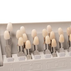 VITA Dental Toothguide 3D Master Resin 29 Colors With Bleached Shade Guide