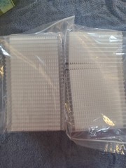 BIO RAD Hard-Shell 384-Well PCR Plates, thin wall, skirted, clear/white HSP3805