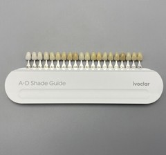 Ivoclar Vivadent Dental Teeth Bleaching Shade Guide ND 9 A-D 20 IPS Natural Die