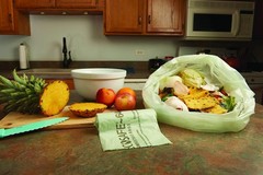 Stout By Envision Compostable Trash Bags 32 Gallon 33 X 48 50 Bags Per Case