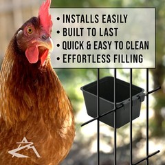 12-Pack – Black Cage Cups hold 1 Pint / 16 fl oz to Hang Feed & Water for Pet