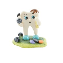 Dental Office Decorative Figurine Tooth Molar Collection Gift 16 variations
