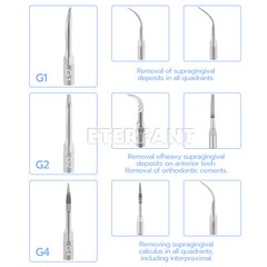 ENTERFANT Dental Ultrasonic Air Perio Scaler Handpiece Hygienist 4H 3Tips G1,2,4