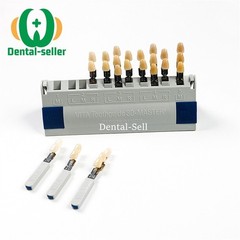 VITAPAN Dental Shade Guide 16/29/32 Colours Resin Toothguide Porcelain Bleached