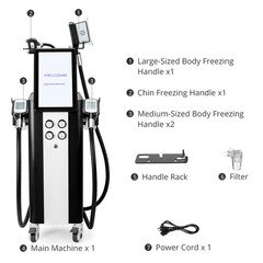 4 Handles Freezing Double Chin Removal Cool Therapy Body Massager Salon Machine