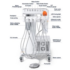 360° Swivel Dental Hygiene Prophy Handpiece Air Motor 4 Holes W/ 4:1 Nose Cone