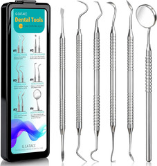 Dental Tools, Dental Pick for Teeth Cleaning, Stainless Steel Hygiene Kit with