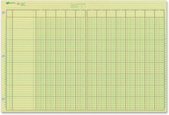2 Pack – NATIONAL Analysis Pad, 13 Column, Green Paper, 11 X 16.375″, 100 Sheets