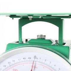 110Lbs Heavy Duty Mechanical Weighing Scale Industrial Food Market Dial Scale