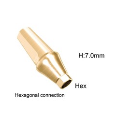 Dental Lab Fit Hiossen ET Straight Abutment Titanium Prosthetic Abutment OSS M/R